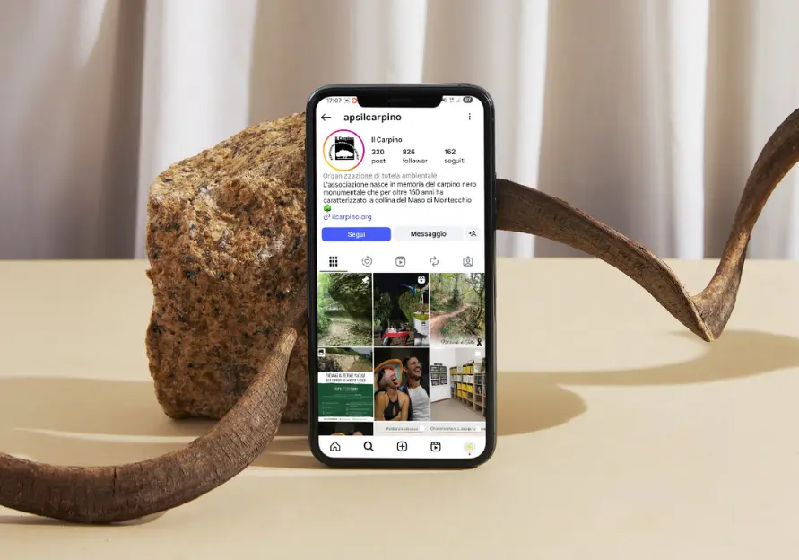 Smartphone su tavolo che mostra il profilo instagram dell'APS Il Carpino